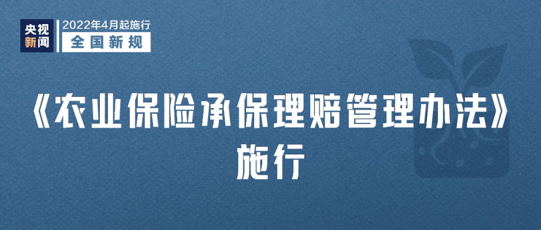 2022年4月1日起这些新规将影响你我生活(图5)