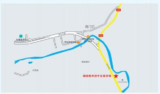 2023年9月2日起湘西乾州活牛交易大市场起搬迁(图1)