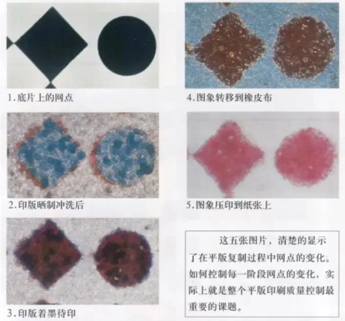印刷知识-网点看色(图2) 印刷知识-网点看色(图1)