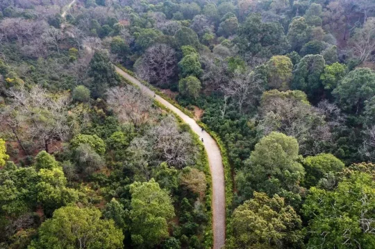 景点VR：“普洱景迈山古茶林文化景观”申遗成功！(图3)