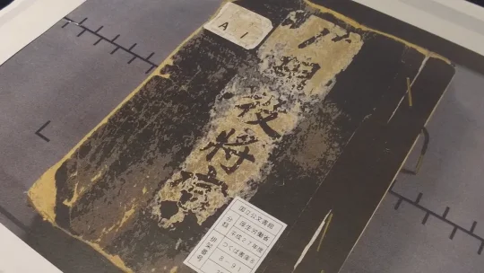 侵华日军731部队军医名簿原始档案首次公布(图2)
