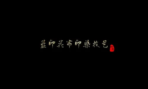 蓝印花布印染技艺
