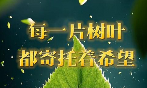每一片樹(shù)葉都寄托著希望
