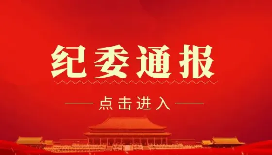 保靖县住房和城乡建设局原党组成员、总工程师向世华接受审查调查