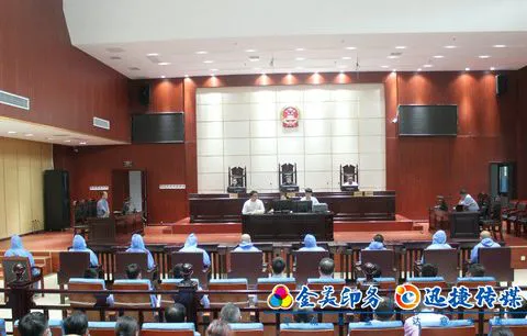 龙山法院公开宣判一起特别重大贩卖毒品案件 被告人最高获刑18年(图1)
