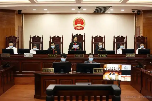 死刑！“吴谢宇弑母案”一审公开宣判(图1)