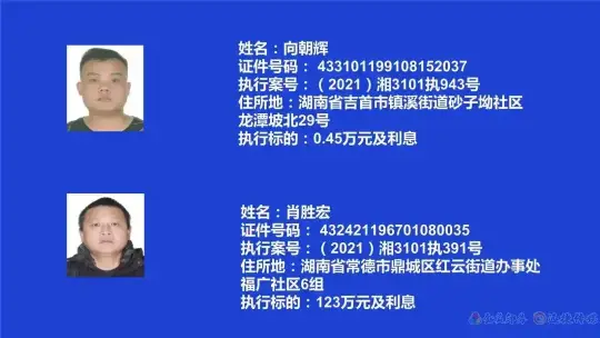 失信曝光┃吉首市人民法院关于发布失信被执行人名单信息的公告（第十期）(图4)